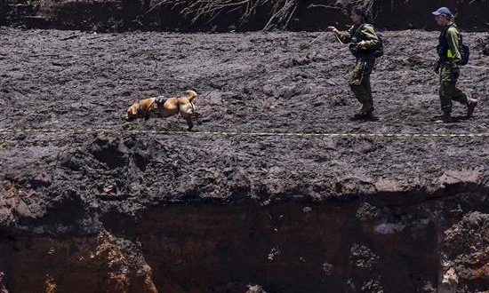 Personas realizan labores de búsqueda de víctimas en Brumandinho (Brasil) tras la rotura de la presa. EFE/Archivo