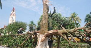 La disposición permitirá que las entidades públicas aprueben y ejecuten inversiones de rehabilitación y de reposición de emergencia en un breve plazo para recuperar los servicios interrumpidos en favor de la población afectada, acotó un comunicado oficial. EFE/Archivo