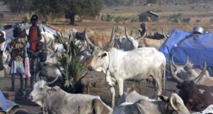 Pastores sudaneses son fotografiados junto a su ganado en una población de Rajaf, a unos doce kilómetros al este de Juga, al sur de Sudán. EFE/Archivo