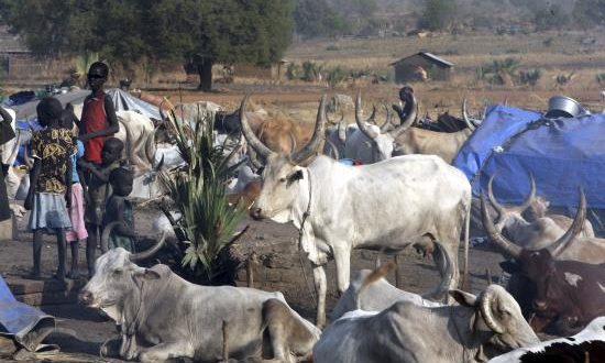 Pastores sudaneses son fotografiados junto a su ganado en una población de Rajaf, a unos doce kilómetros al este de Juga, al sur de Sudán. EFE/Archivo