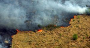 Unas 60.683 hectáreas de bosques y pasto fueron destruidas en 1.120 incendios registrados el año pasado en el país centroamericano, según cifras del Instituto de Conservación Forestal. EFE/Archivo