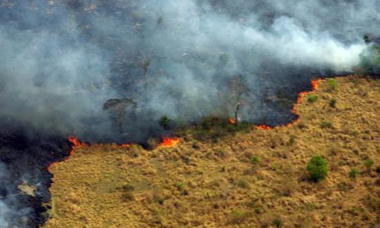 Unas 60.683 hectáreas de bosques y pasto fueron destruidas en 1.120 incendios registrados el año pasado en el país centroamericano, según cifras del Instituto de Conservación Forestal. EFE/Archivo