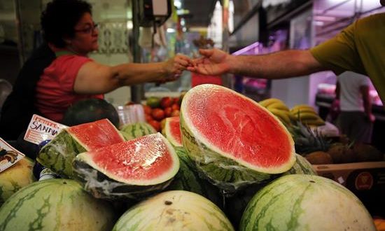 El régimen alimenticio basado en bajas calorías y que "imita el ayuno" mostró ser efectivo para reducir la Enfermedad Inflamatoria Intestinal (IBD) y aumentó la producción de células madres al incrementar los microrganismos intestinales. EFE/Archivo