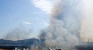 Vista general de un sector de la región de la Araucaria, Chile. EFE/Archivo