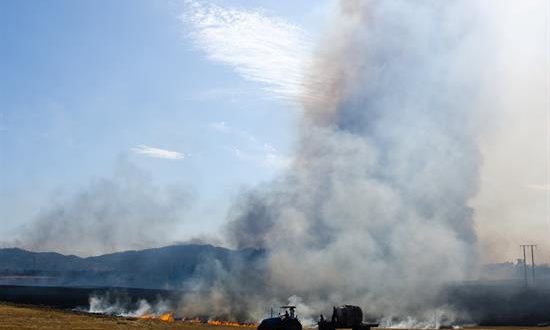 Vista general de un sector de la región de la Araucaria, Chile. EFE/Archivo