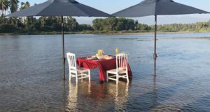 Coyuca de Benítez (México), 14 mar (EFE).- Coyuca de Benítez es una ciudad situada en el sureño estado mexicano de Guerrero y colindante con el balneario de Acapulco que se ha convertido en los últimos años en un paraíso para el turismo romántico, tanto nacional como extranjero.
