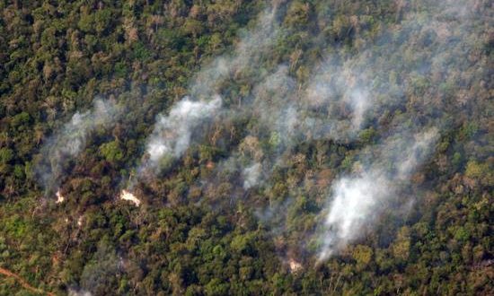Este lunes las técnicas para combatir el incendio continuaron "por aire y tierra", expuso la institución en un comunicado en el que detalló que desde primeras horas de la mañana se realizó un sobrevuelo de reconocimiento por el área de San Juan Gascón, con un helicóptero alquilado por la entidad para la ocasión. EFE/Archivo