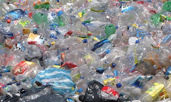 La Hora del Planeta, que realiza cada 30 de marzo el Fondo Mundial para la Naturaleza (WWF), busca este año combatir en Ecuador la contaminación por plástico que alcanza niveles críticos en todo el planeta, informó este martes la oficina de esa entidad en Quito. EFE/Archivo