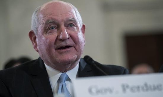 En 2017 el nuevo secretario de Agricultura, Sonny Perdue (en la imagen), firmó una orden para congelar la implementación de los estándares impuestos por Obama. EFE/Archivo