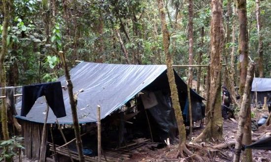 Fotografía cedida por los investigadores Victor Tipe y José Arrieta, que muestra un campamento que utiliza Sendero Luminoso en la selva peruana. EFE/ Policía De Perú