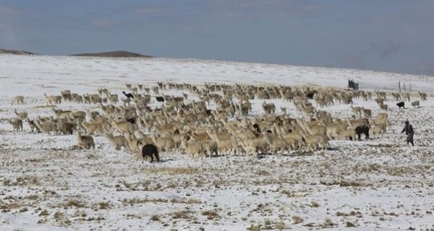 El año pasado, ambos fenómenos afectaron a 792 mil personas y 2.600 viviendas, y dejaron 82 mil cabezas de ganado y 13 mil hectáreas de cultivo perdidas. (Foto: archivo El Comercio)