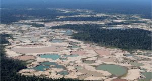 La Pampa es el mayor campamento de mineros ilegales en la Amazonía que han deforestado unas 8.000 hectáreas en los últimos años