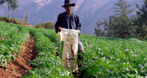 Hoy podría ser un día históricos para ellos, pero las tensiones por el panorama político podrían ensombrecer la jornada de este viernes. Foto: Difusión