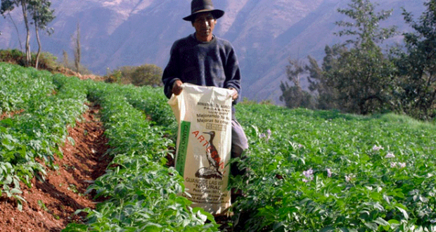 Hoy podría ser un día históricos para ellos, pero las tensiones por el panorama político podrían ensombrecer la jornada de este viernes. Foto: Difusión