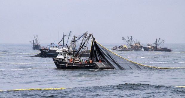 La nueva cuota incrementará en 30% la recaudación del recurso. (Foto: Produce)