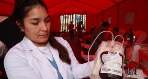 La Ley indica que el Ministerio de Salud (Minsa) elaborará los documentos científicos y técnicos que fueran requeridos por el Ministerio de Educación (Minedu). (Foto: GEC)