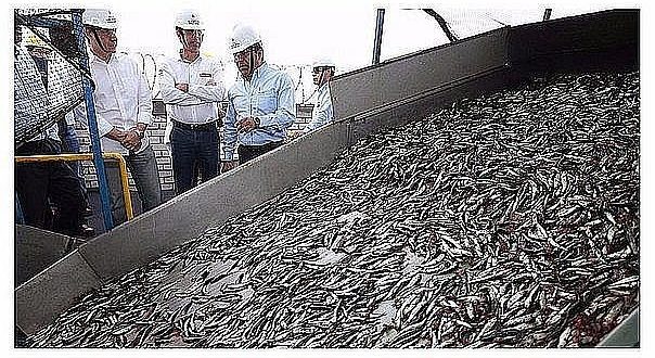 BCR redujo su estimado de crecimiento de la economía para el 2019