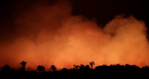 Miles de incendios forestales que arden en la selva amazónica amenazan con eliminar grandes partes de un ecosistema vital e insustituible.
