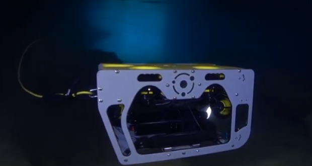 Se trata de una "prueba piloto para poder liberar, en el futuro, tiburones de aguas profundas", explica el CEO de Nido Robotic, Roy Torgersen. (Captura de pantalla)