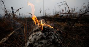 Los incendios que consumen al Amazonas, conocido como el "pulmón del mundo", han generado indignación a nivel internacional. ¿Qué antecede a esta grave situación?
